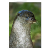 Otter (Front)