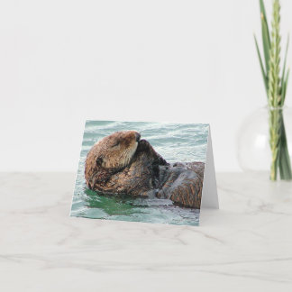 otter 117c card