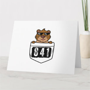 Otter 841  card