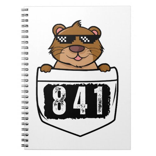 Otter 841  notebook