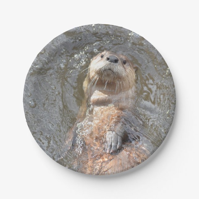 Otter Back Float Paper Plates (Front)