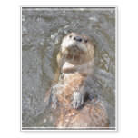 Otter Back Float Temporary Tattoos