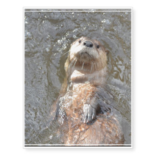 Otter Back Float Temporary Tattoos