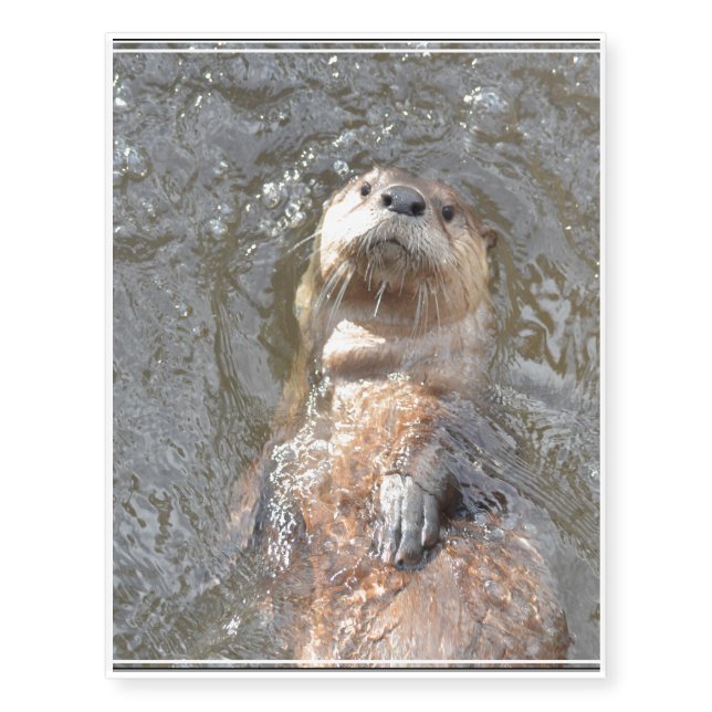 Otter Back Float Temporary Tattoos (Front)