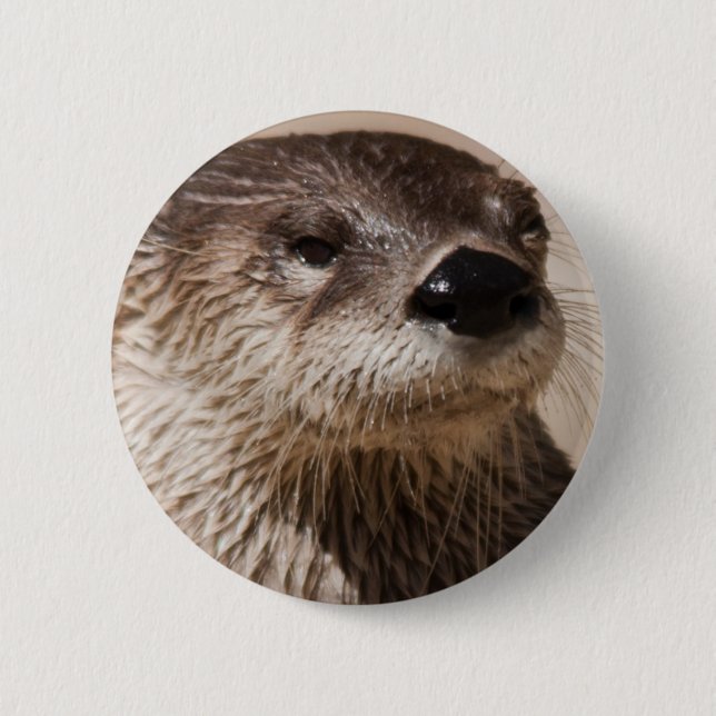 OTTER BUTTON (Front)