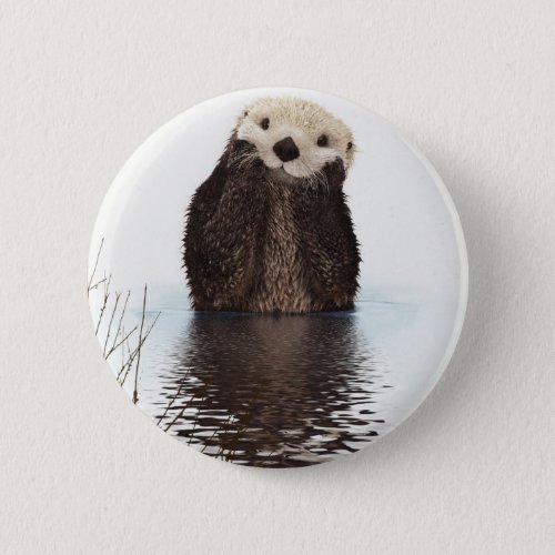 Otter Button