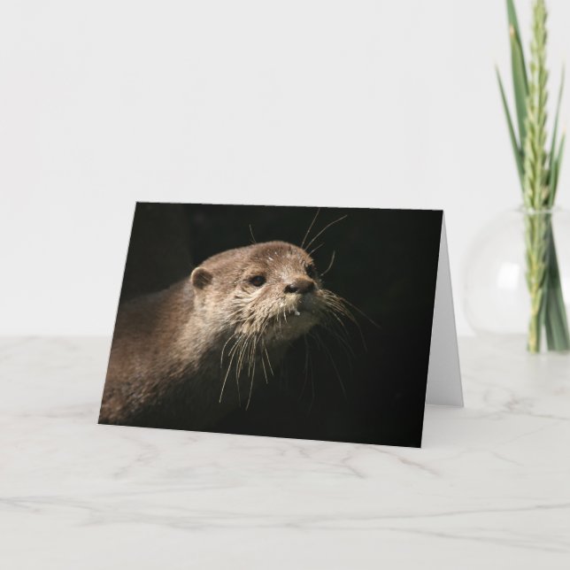 Otter Card (Front)
