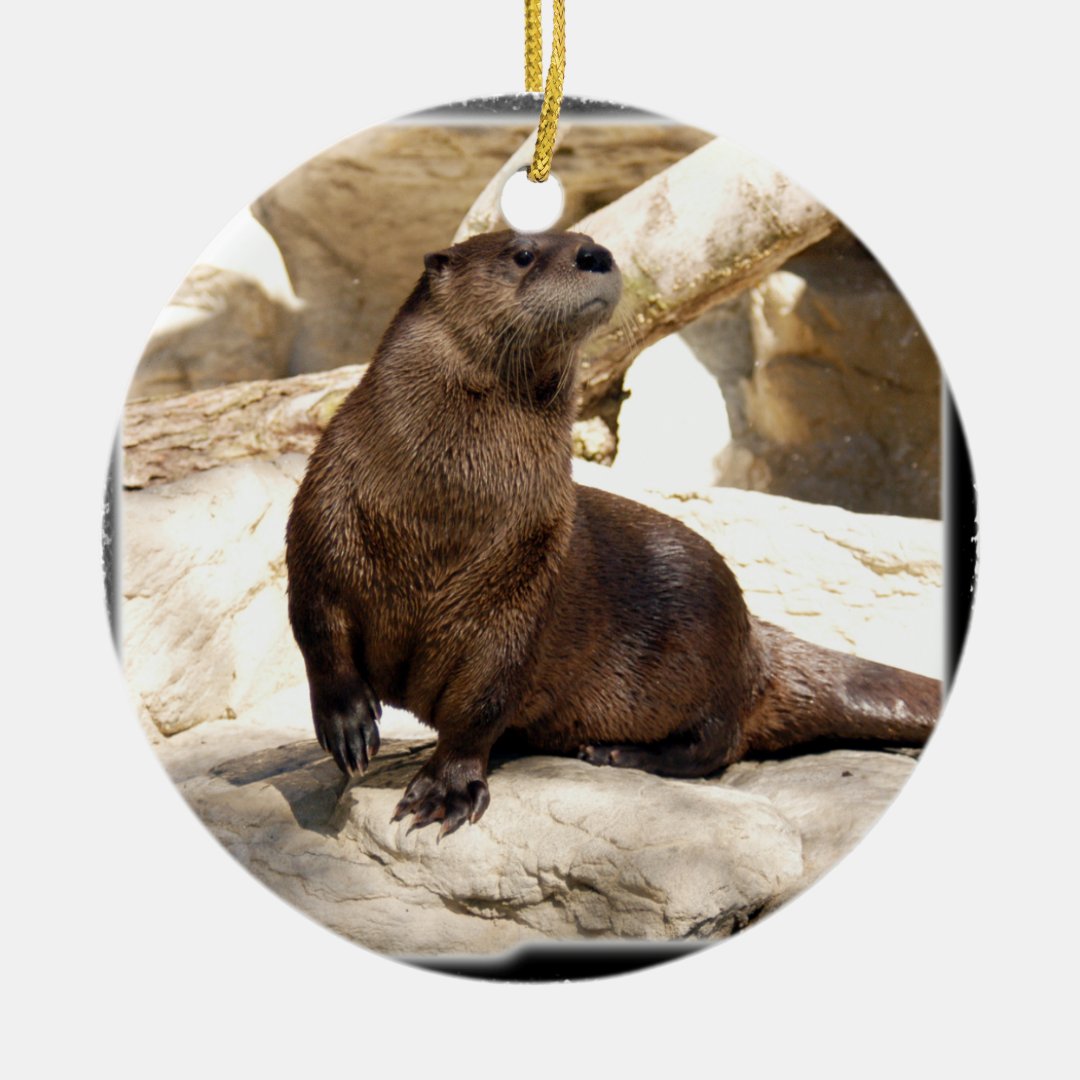 Otter Christmas Ornament | Zazzle