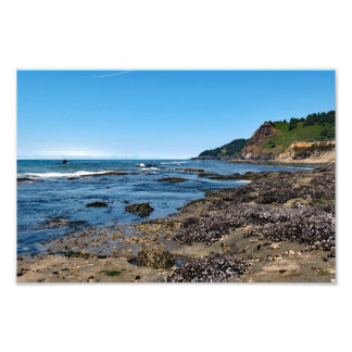 Otter Crest Beach Oregon Photo Print