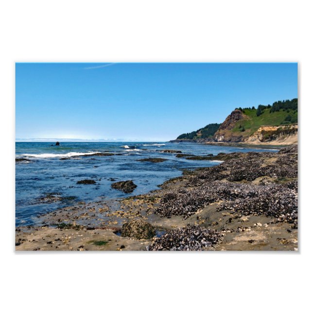 Otter Crest Beach Oregon  Photo Print (Front)