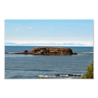 Otter Crest Beach Oregon Photo Print