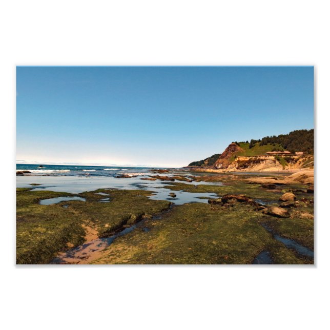 Otter Crest Beach Oregon  Photo Print (Front)
