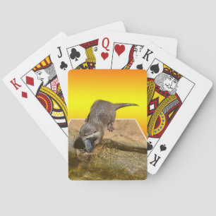 Otter Eating Tasty Fish By His Pond, Poker Cards