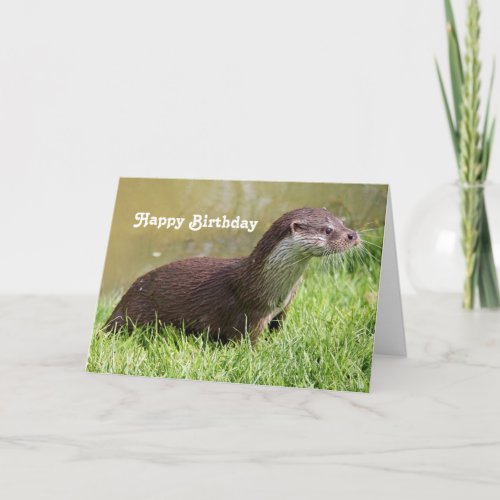 Otter Grass Wildlife Photo Birthday Card