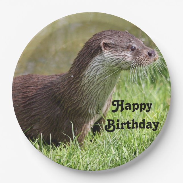 Otter Grass Wildlife Photo Birthday Paper Plates (Front)
