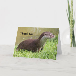 Otter Grass Wildlife Photo Letterpress Thank You Card