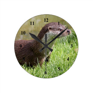 Wall Art Decor River Otter with Attitude