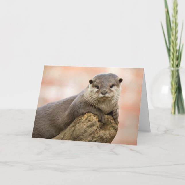 Otter Greetings Card (Front)