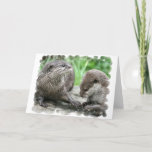 Otter Habitat Greeting Cards