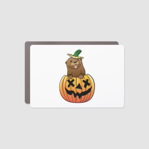 Otter Halloween  Car Magnet