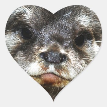 Otter Heart Sticker by The_Everything_Store at Zazzle