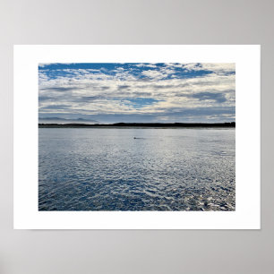 Otter in the Distance California Color Photography Poster
