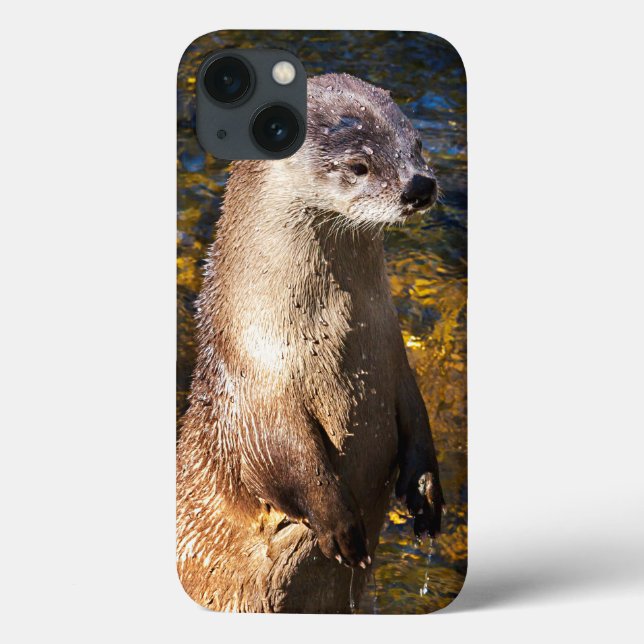 Otter iPhone Case (Back)