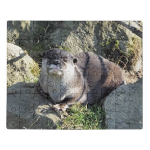 OTTER JIGSAW PUZZLE