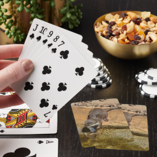 Otter Loving His Lunch, Poker Cards