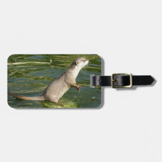 Otter luggage tag