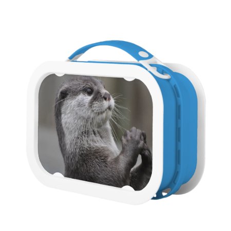 Otter Lunch Box