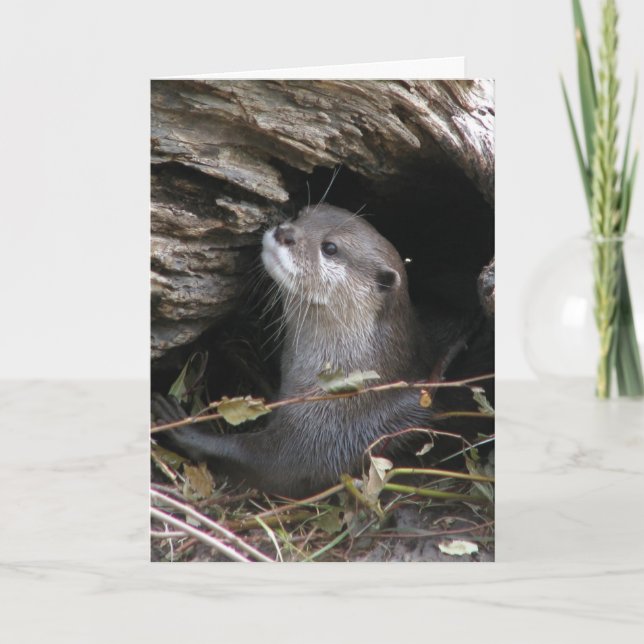 Otter-ly Delightful Card (Front)
