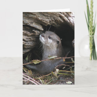 Otter-ly Delightful Card