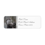 Otter Mastermind Address Labels