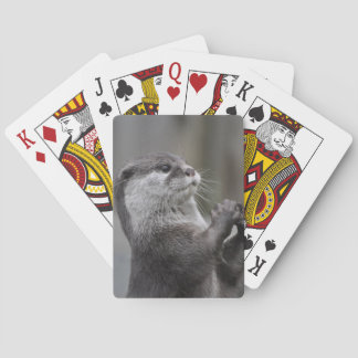 Otter Mastermind Deck of Cards