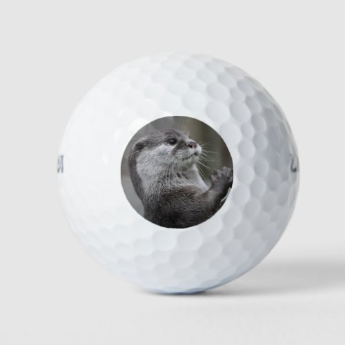 Otter Mastermind Golf Balls