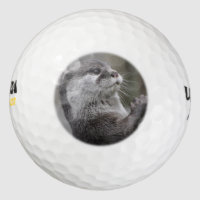 Otter Mastermind