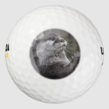 Otter Mastermind Golf Balls by WildlifeAnimals at Zazzle