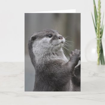 Otter Mastermind Greeting Card by WildlifeAnimals at Zazzle