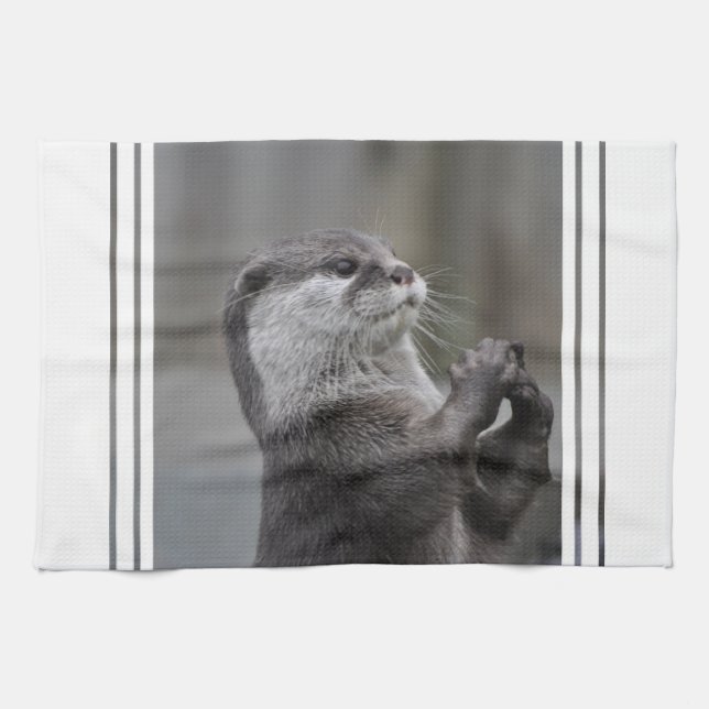 Otter Mastermind Kitchen Towel (Horizontal)