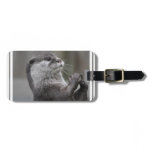 Otter Mastermind Luggage Tag
