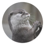 Otter Mastermind Sticker