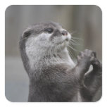 Otter Mastermind Stickers
