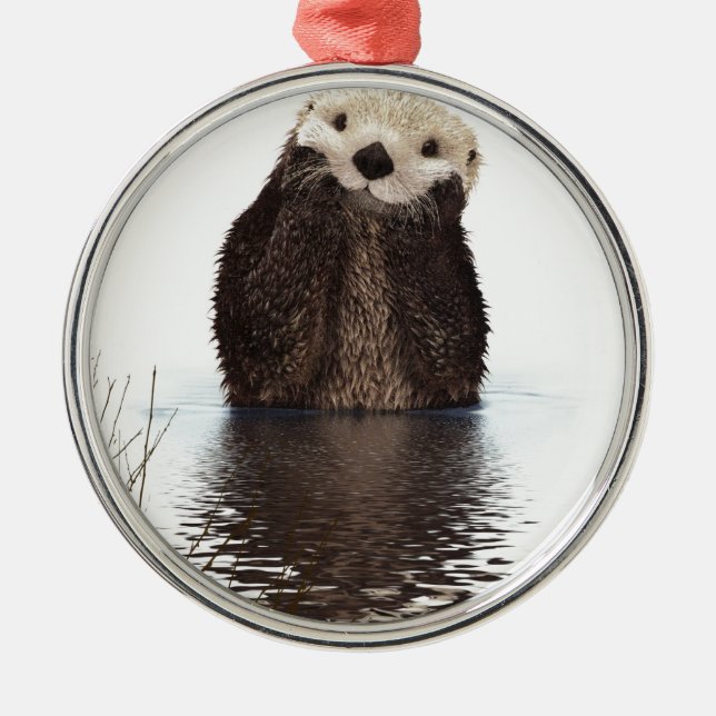 Otter Metal Ornament (Front)