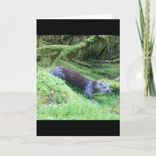 Otter Nature Scene River Wildlife Illustration Card