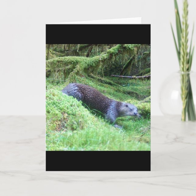 Otter Nature Scene  River Wildlife Illustration Card (Front)
