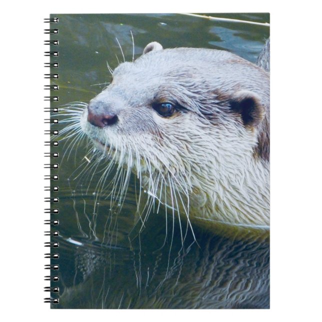 Otter Notebook (Front)