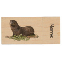 Otter on a Jump Drive