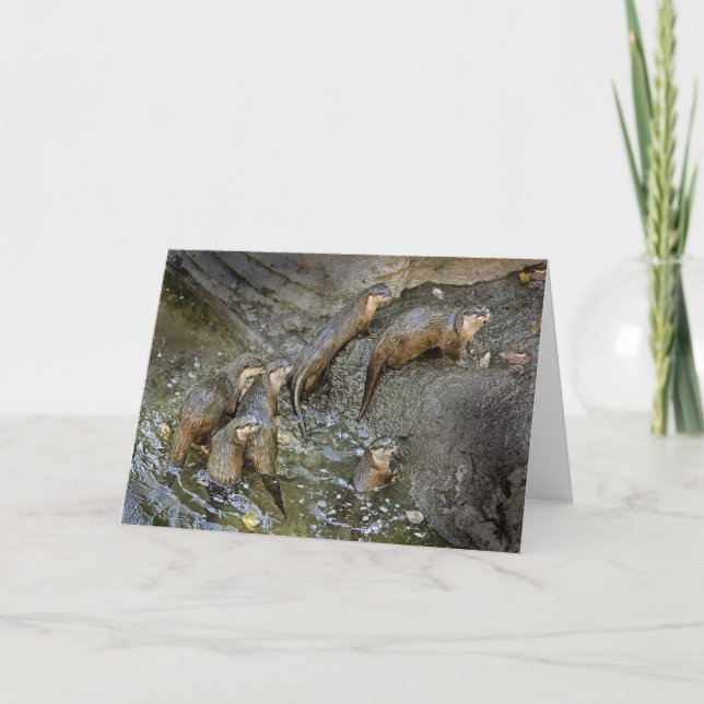 Otter Pack Greeting Card (Front)