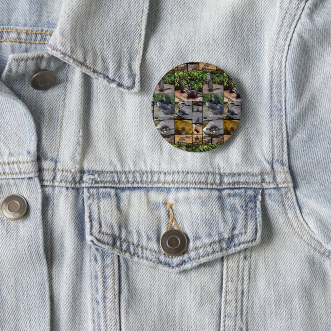 Otter Photo Collage, Button (In Situ)